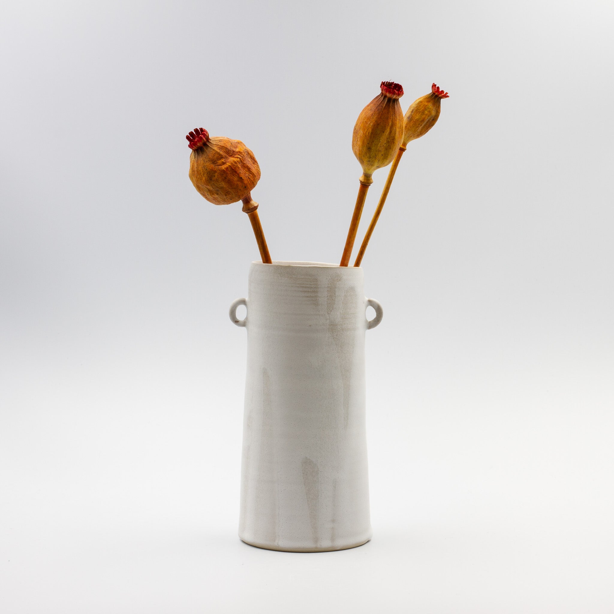 Vase with handles -white